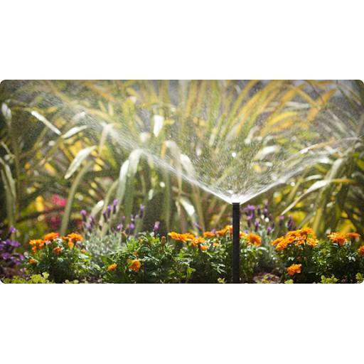 Vòi phun Popup tưới cỏ âm đất, tự bật cao 10cm khi tưới