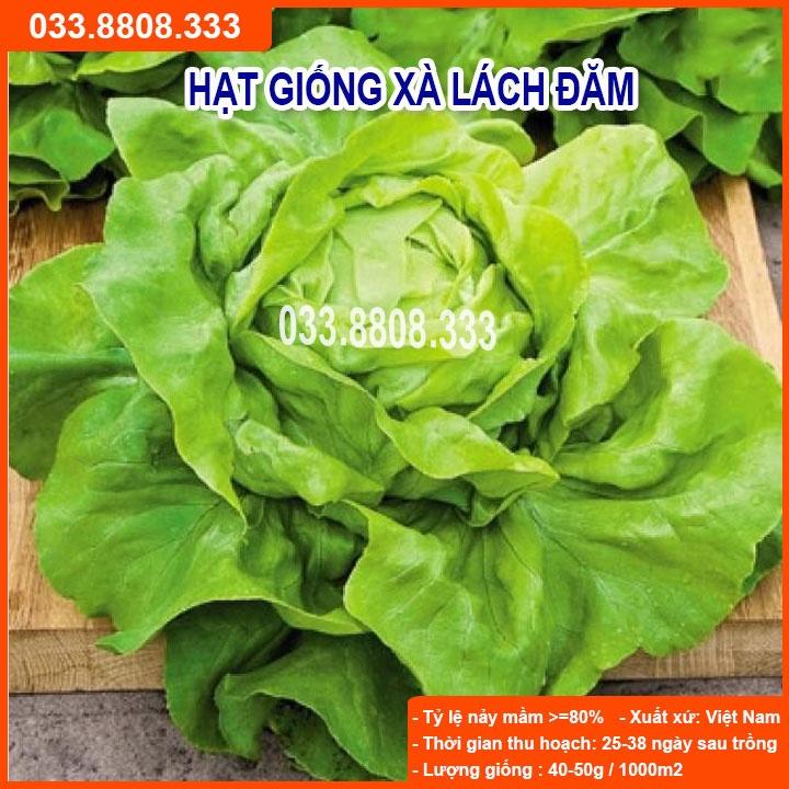 Hạt Giống Xà Lách Đăm 2g - Giống Tốt Giá Rẻ