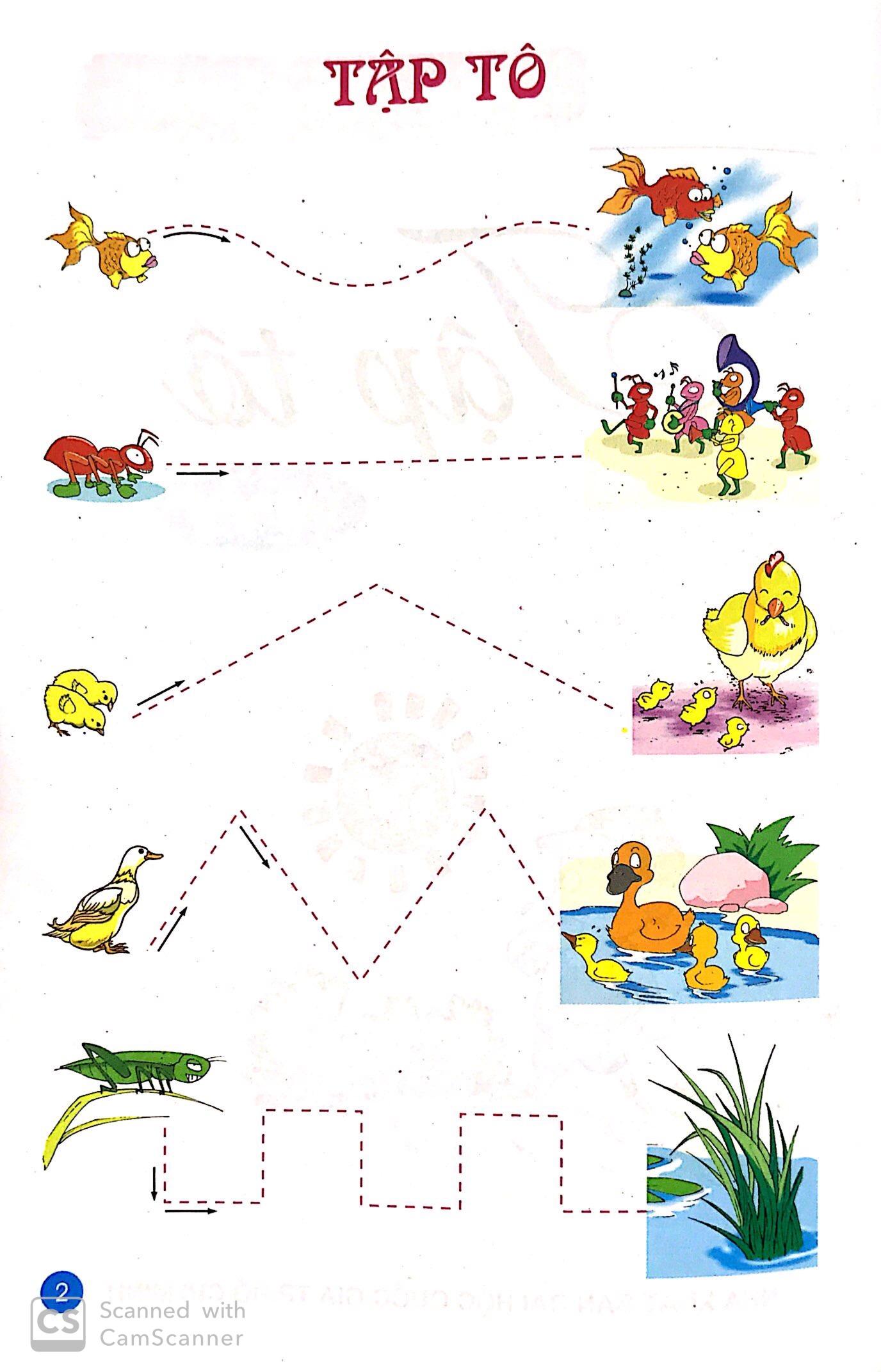Tập Tô: Dành Cho Bé 4 - 5 Tuổi