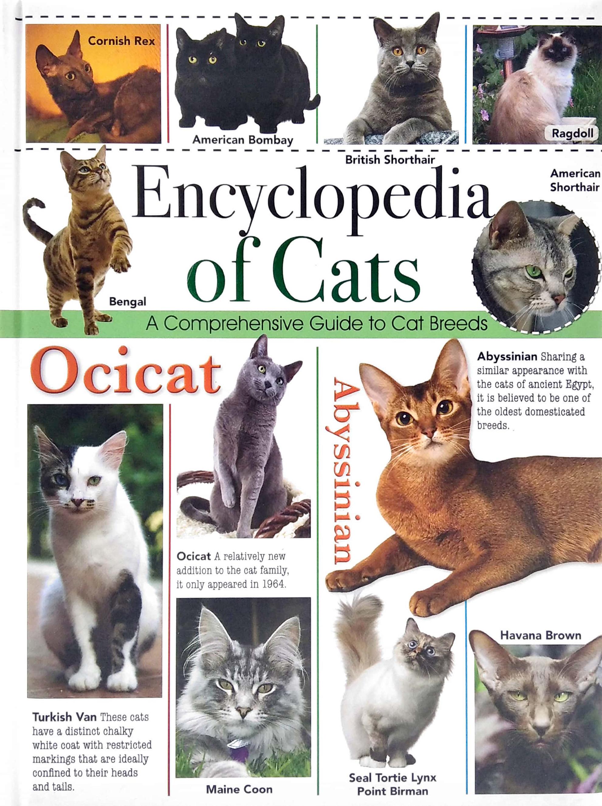 Encyclopedia Of Cats