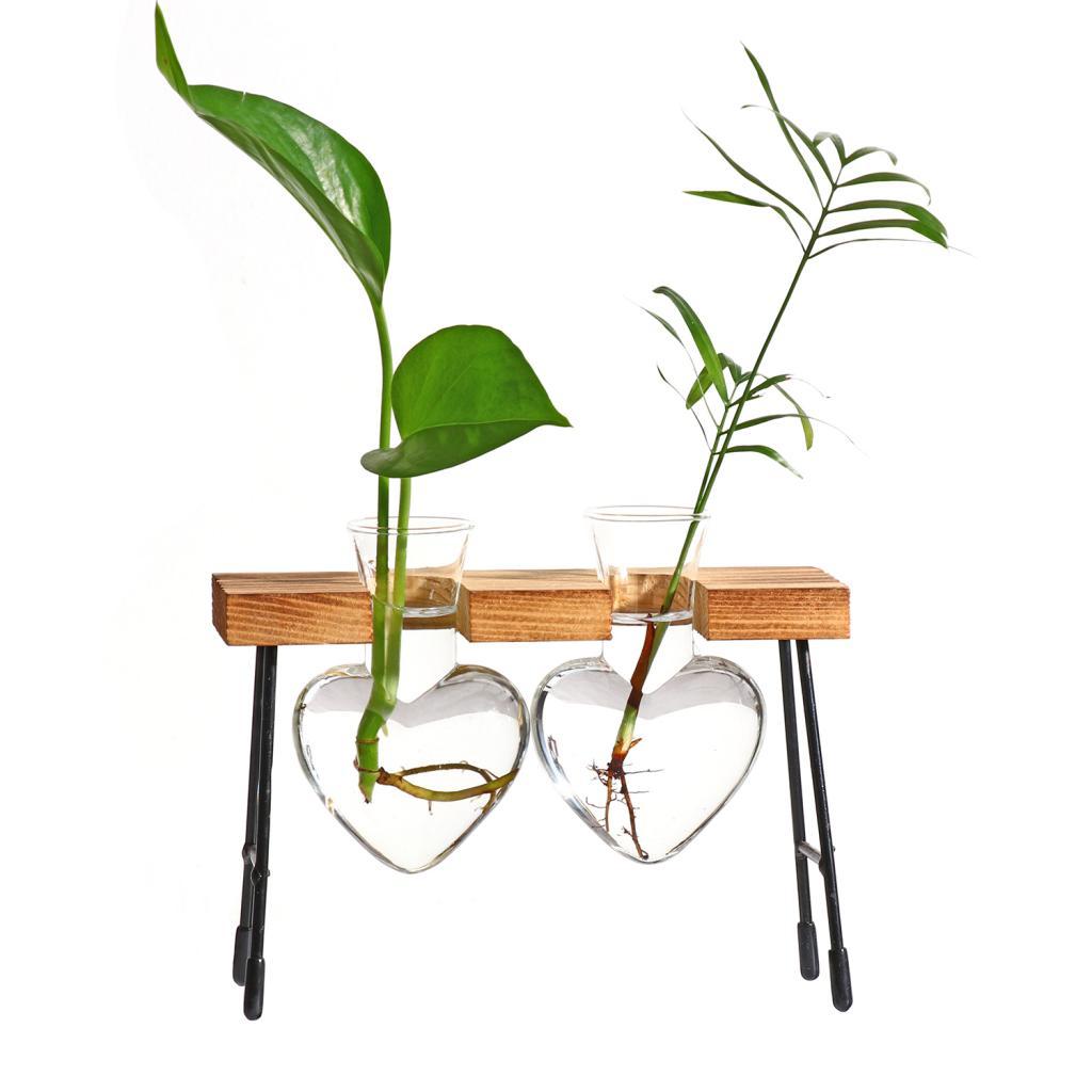 Test Tube Flower Bud Vase Planter Decorative Terrariumin for Office Cafe-2