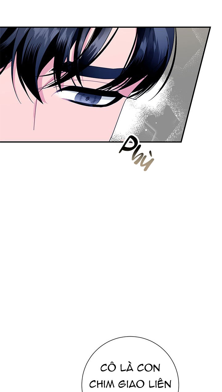 công chúa của loài chim chapter 53.1 9