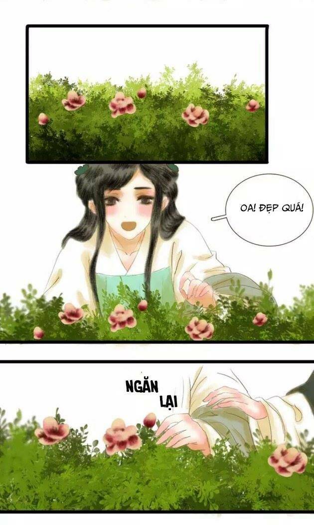 phồn hoa phai màu chapter 1 17