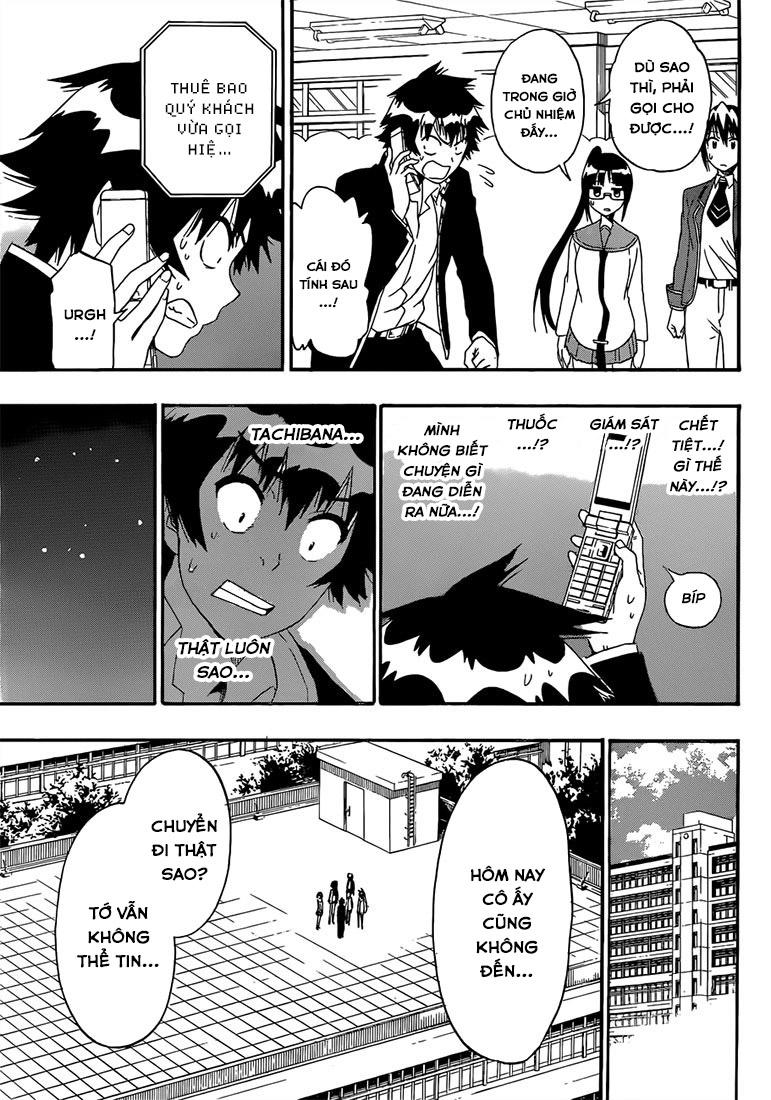 nisekoi - tình yêu giả tạo chapter 181 15