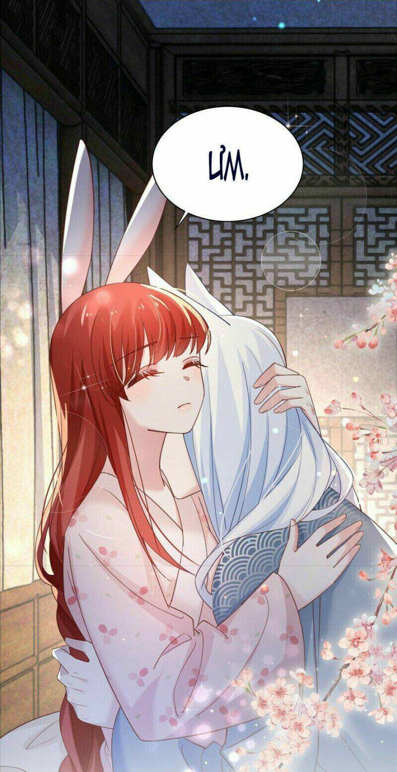 hắc hóa nam chính trực tuyến nuôi thỏ chapter 66 29