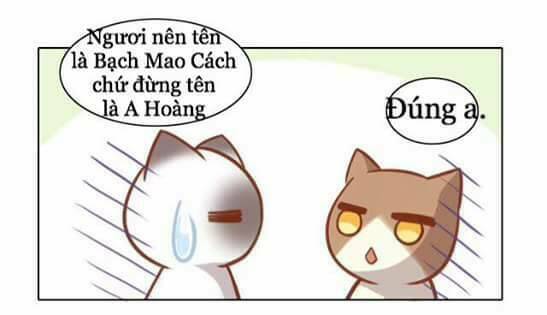 thị hoang chi thần chapter 8 25