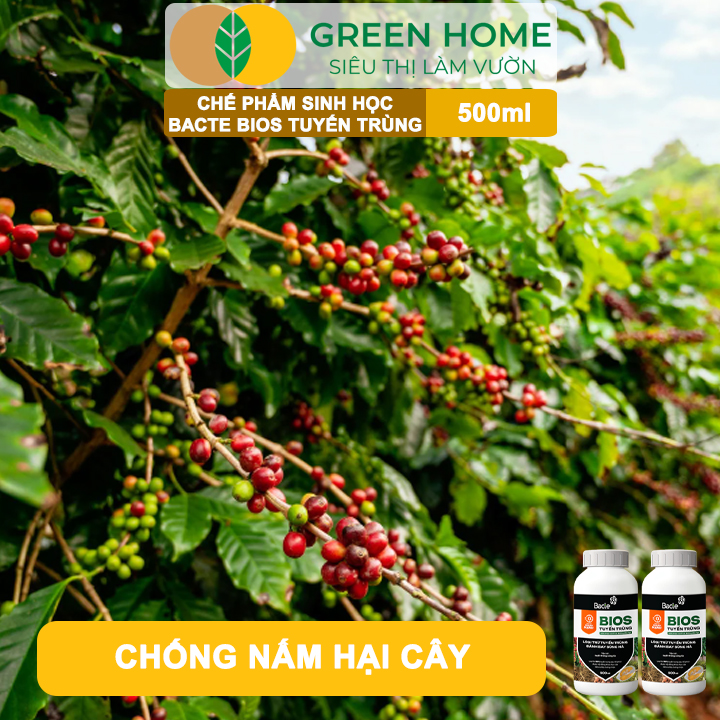 Chế Phẩm Sinh Học Bacte Bios Tuyến Trùng, Green Home, Chai 500ml, Từ Thảo Mộc, Hiệu Lực Nhanh Mạnh