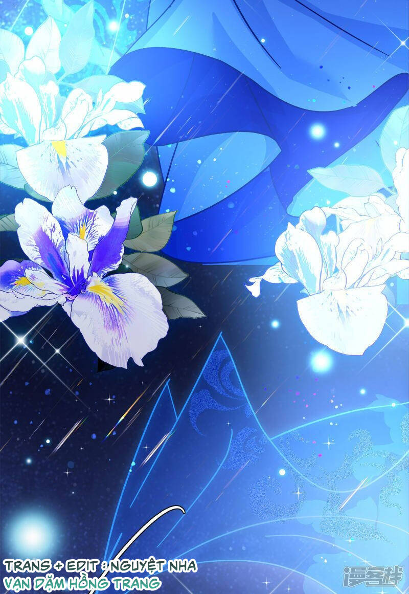 cô ấy đến rồi, xin nằm xuống! chapter 206 17