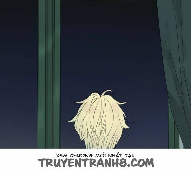 stardom chapter 1 113