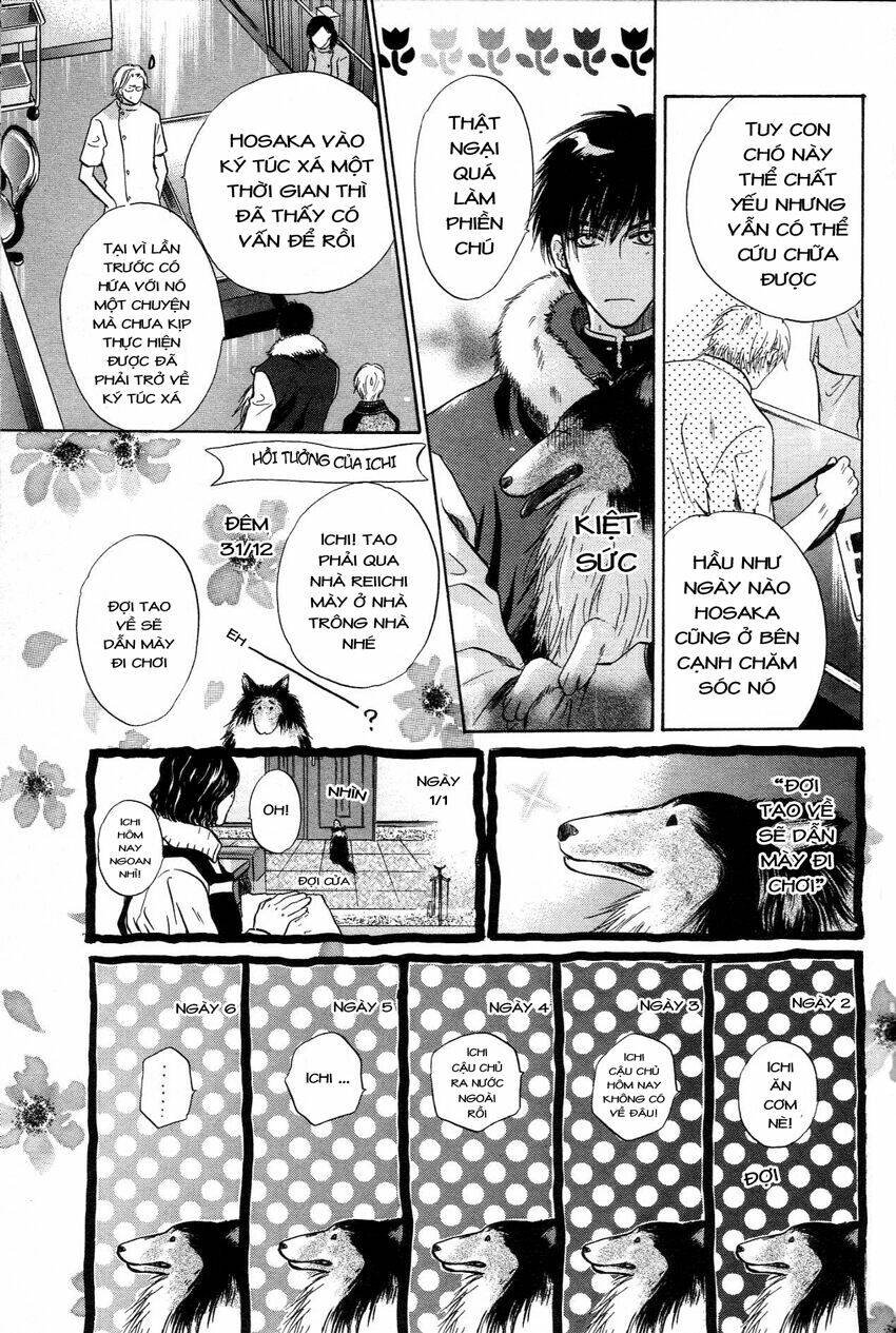 komatta toki ni wa hoshi ni kike! chapter 41 34