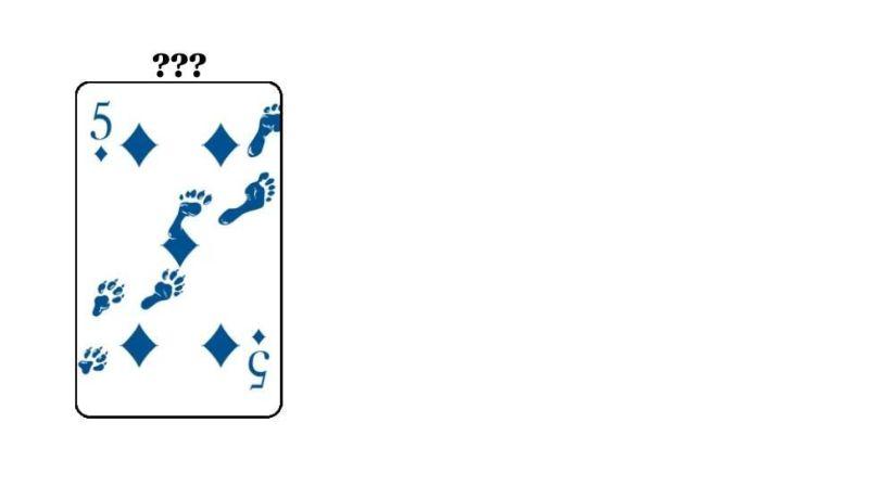 high card - 9 no mercy chapter 6.5 18