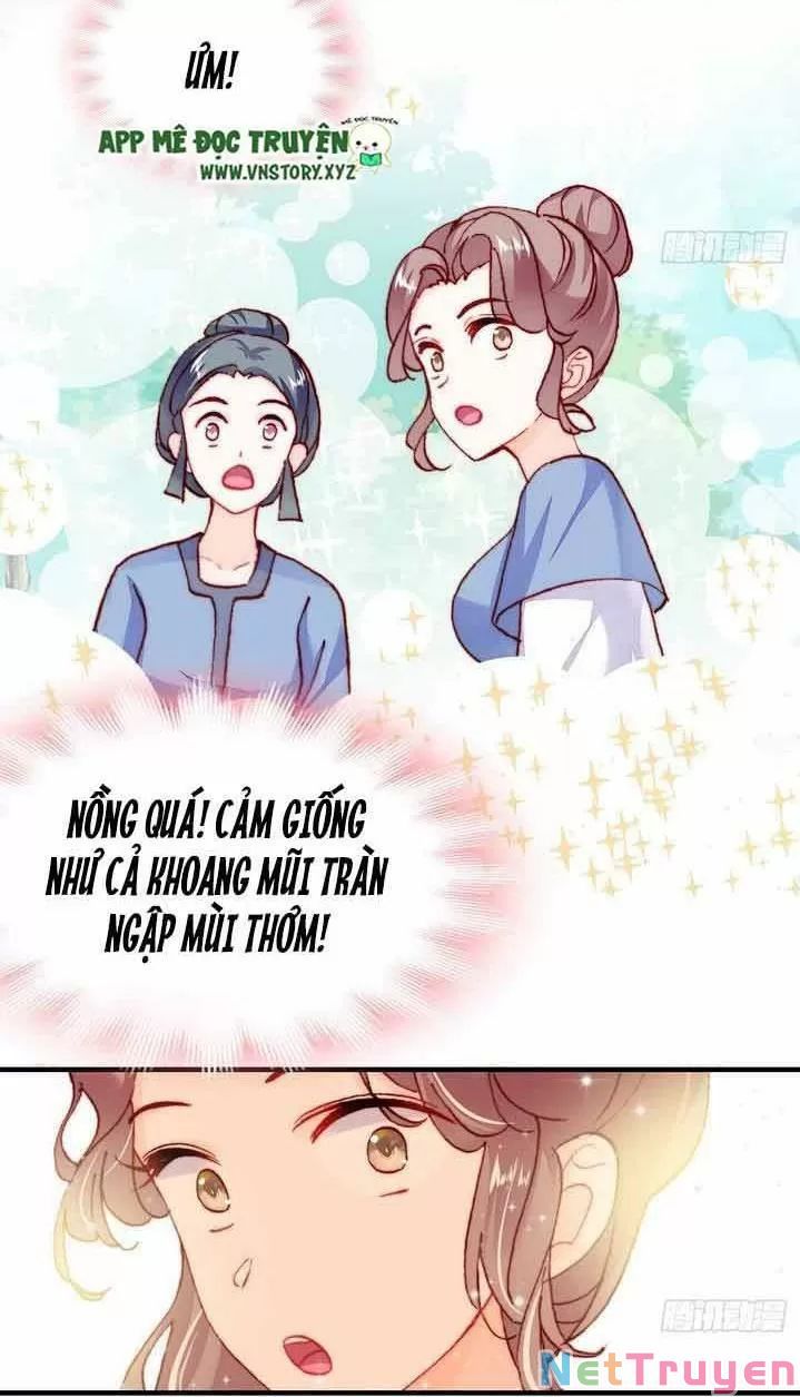lại bị bệnh chiều chuộng quấn lấy chapter 8 14