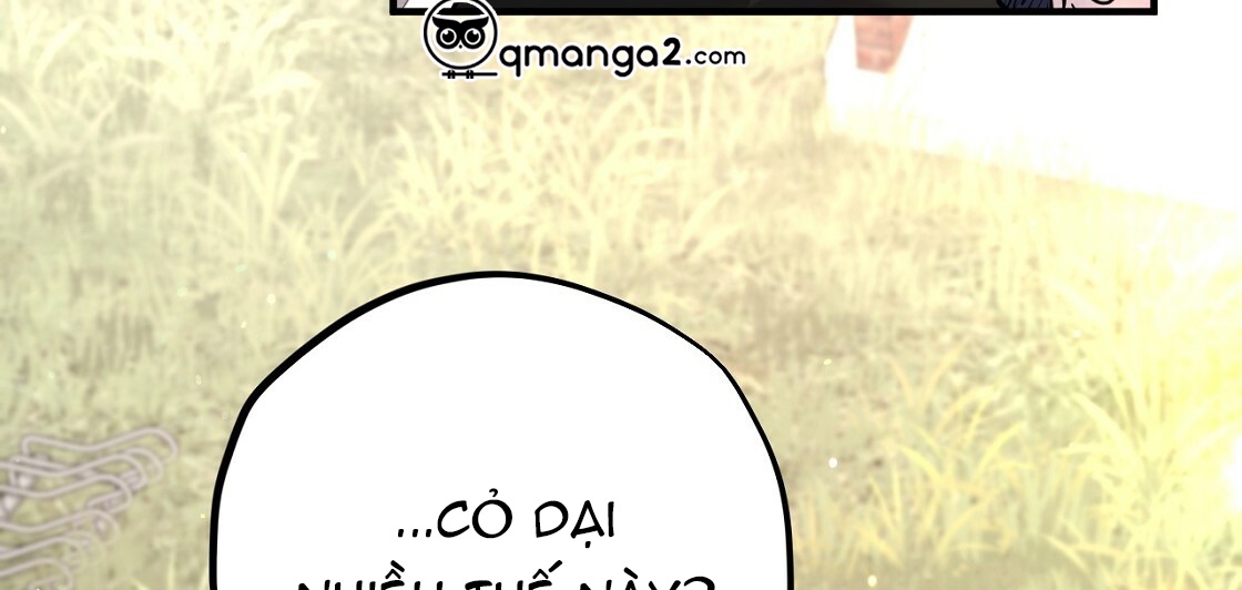 đàn thỏ của habibi chapter 23 234