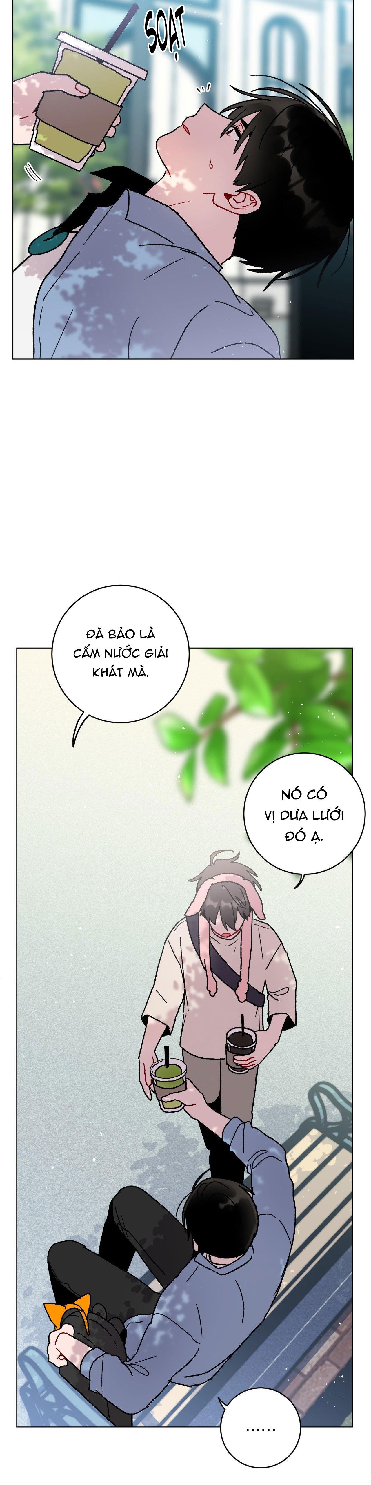 cơn mưa rào mùa hạ chapter 37 17