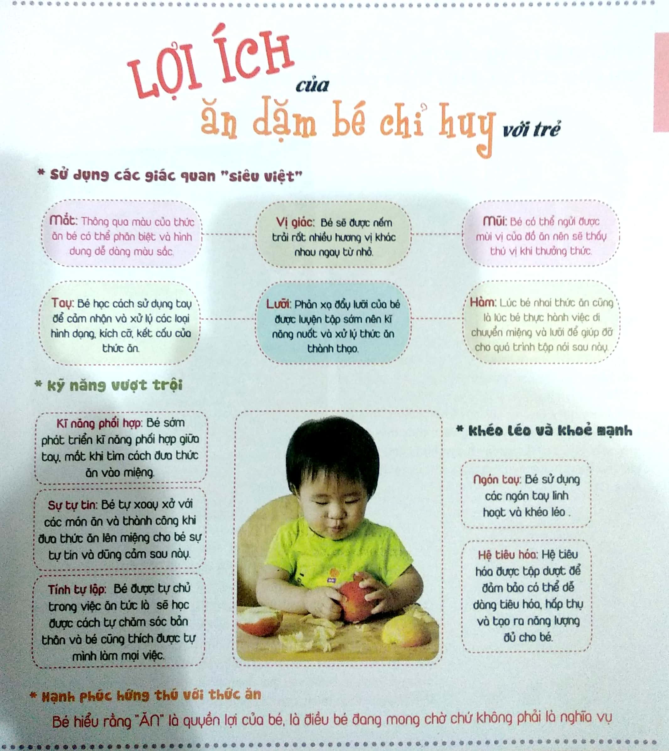 Ăn Dặm Không Phải Là Cuộc Chiến