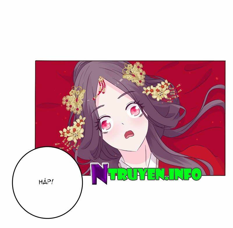 tướng quân mời ra trận chapter 5 8