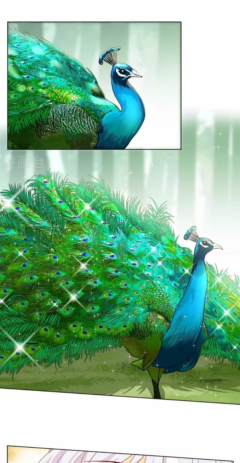 cô ấy đến rồi, xin nằm xuống! chapter 119 13