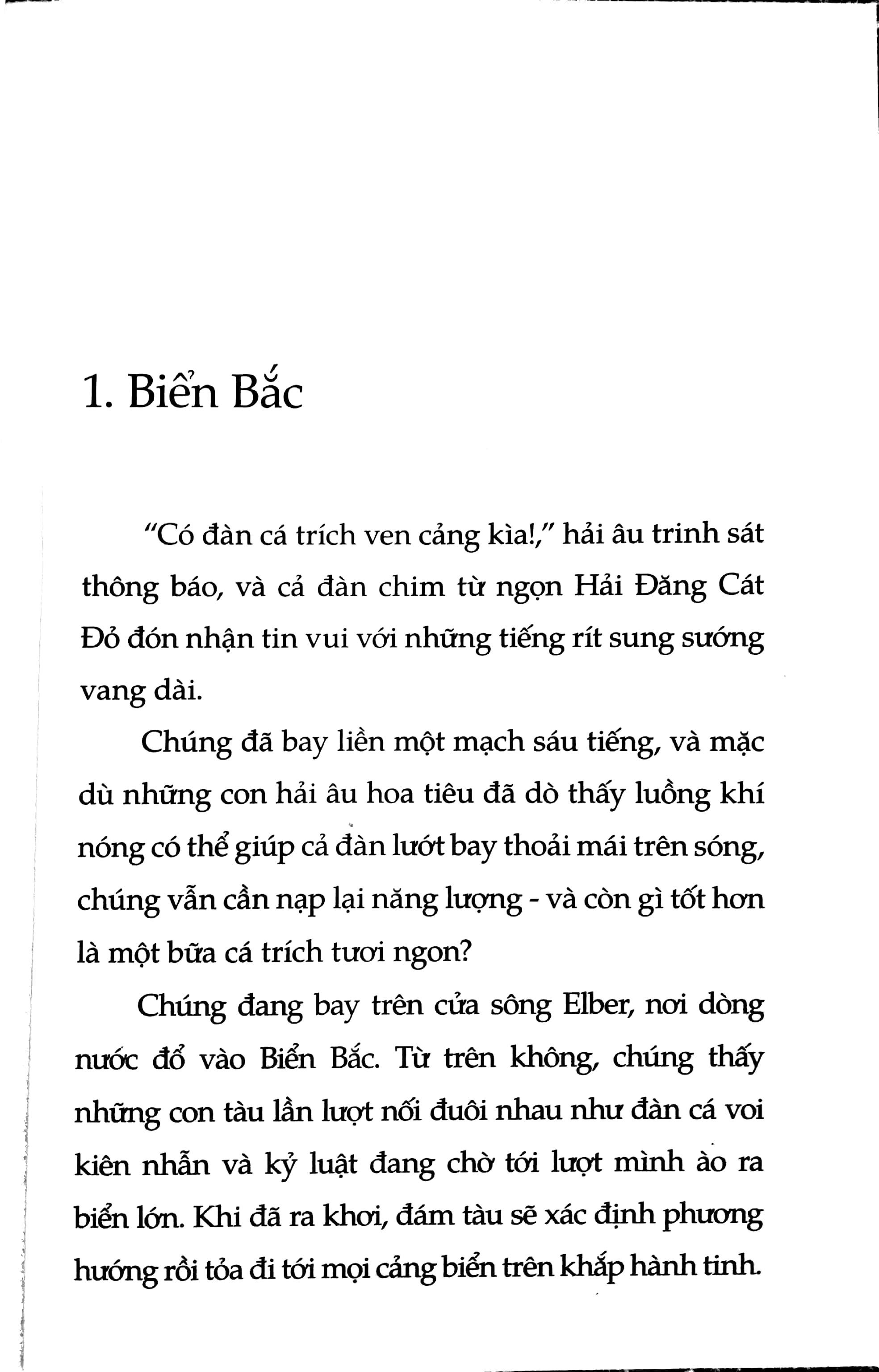 Chuyện Con Mèo Dạy Hải Âu Bay (Tái Bản 2024)