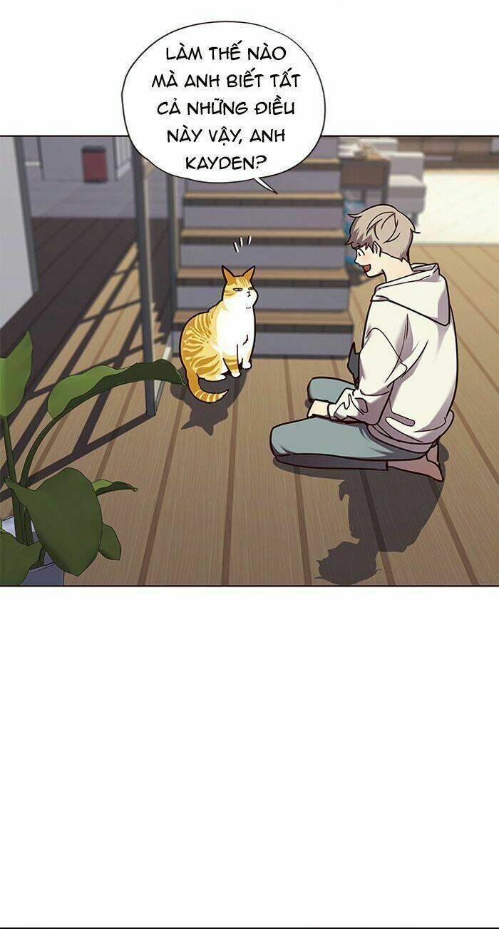 biến thân thành mèo chapter 64 60