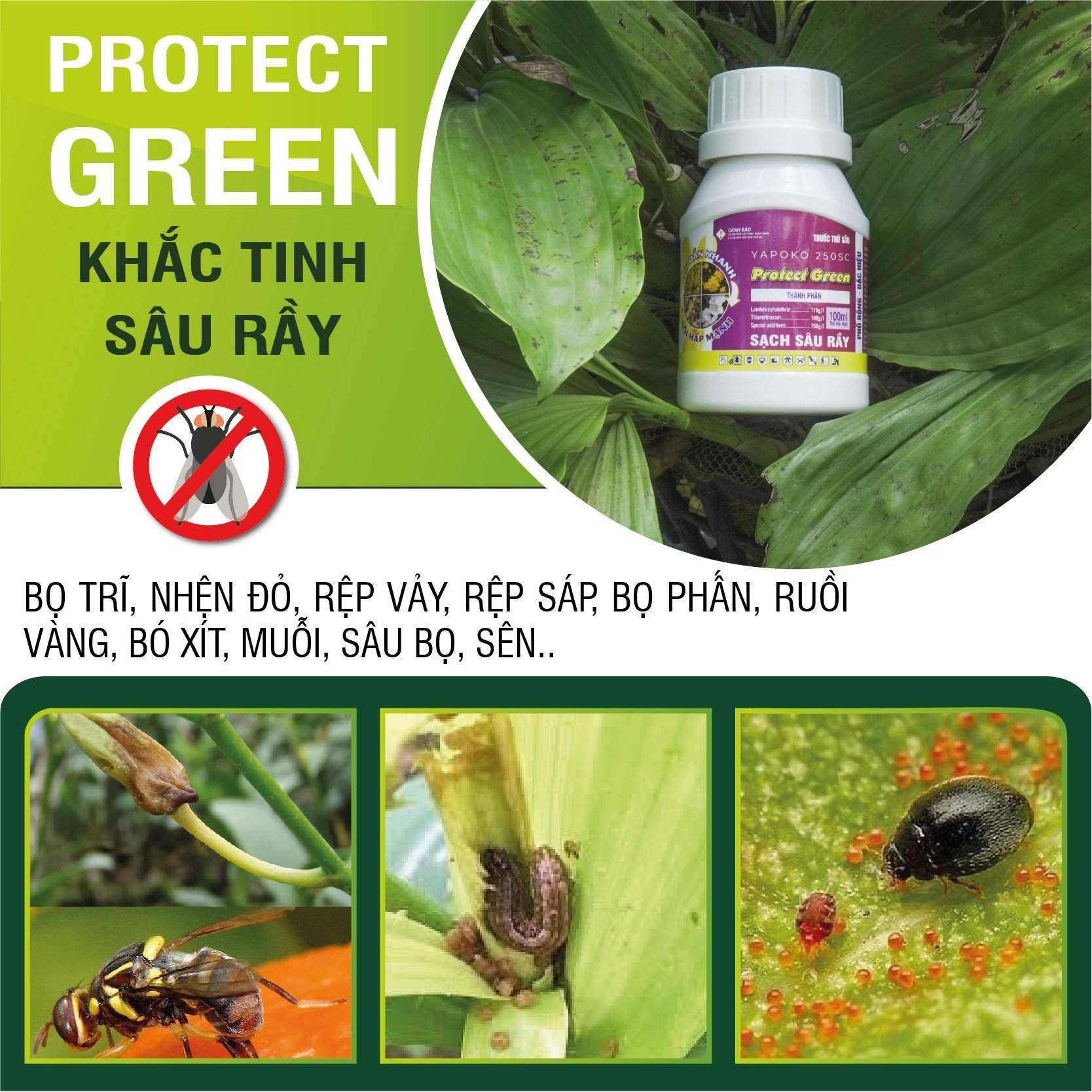 PROTECT GREEN – SẠCH SÂU RẦY