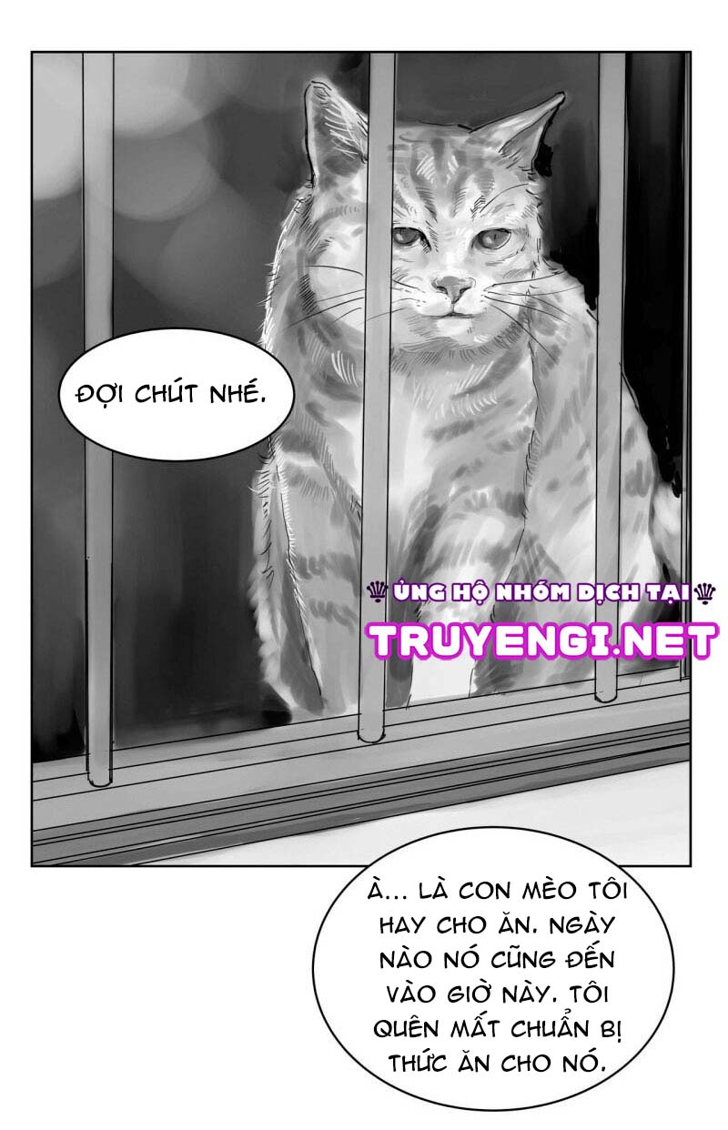 vật bị đánh mất chapter 13 12