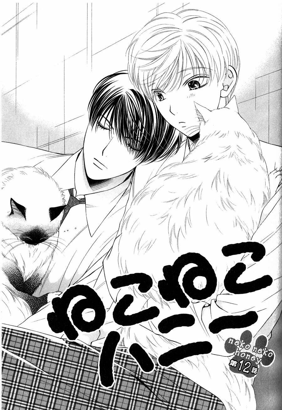 neko neko honey chapter 12 3