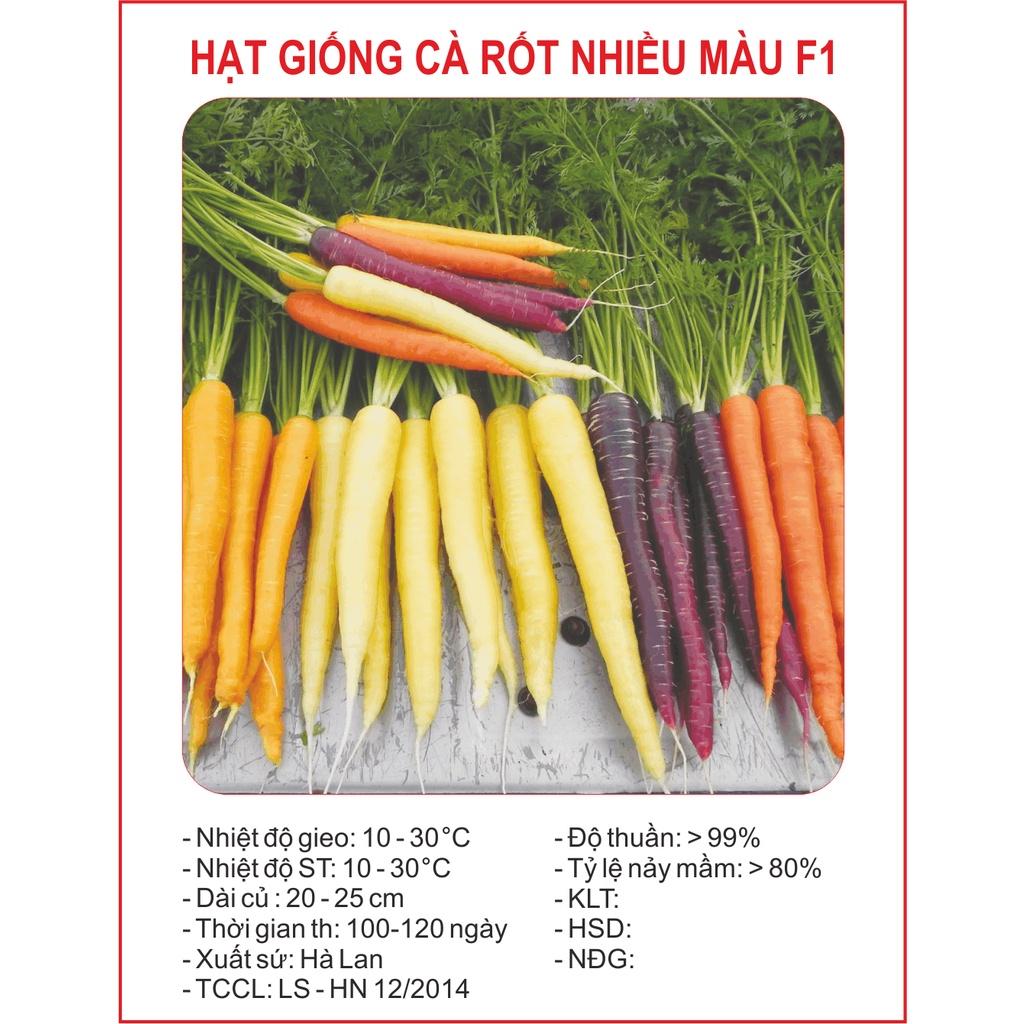 Hạt giống cà rốt mix màu chịu nhiệt - 1 gói 100 hạt