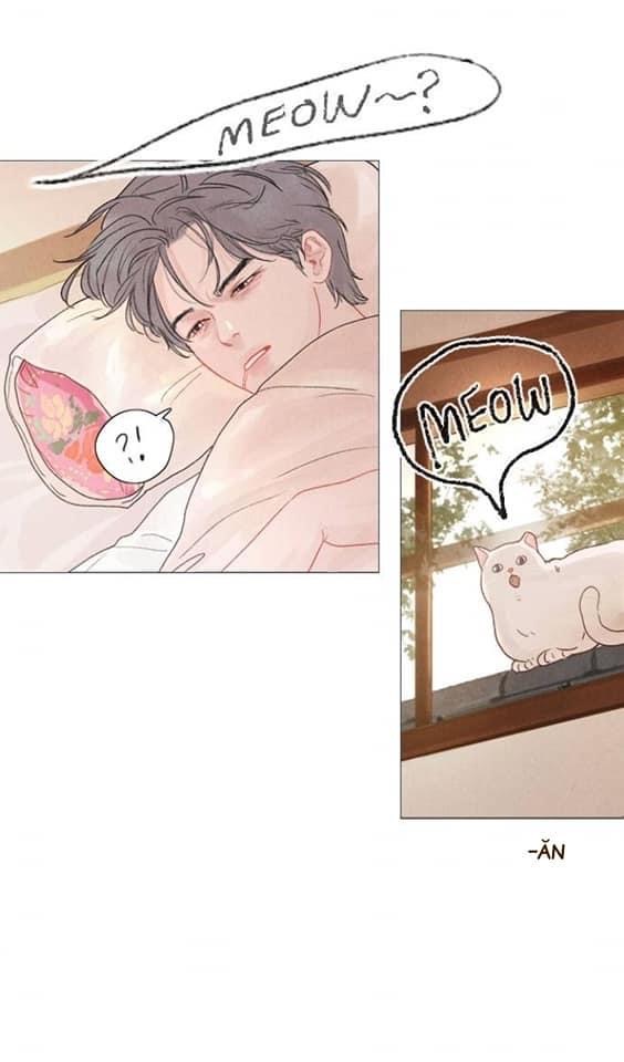 thần bí chapter 2 56