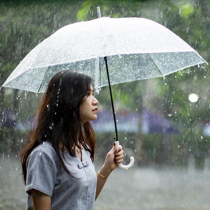 Ô Trong Suốt Hàn Quốc Che Mưa, Chụp ảnh Sống ảo