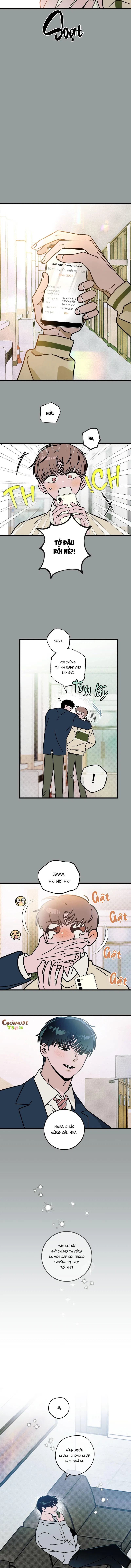 lời tỏ tình từ con số 0 chapter 39 6