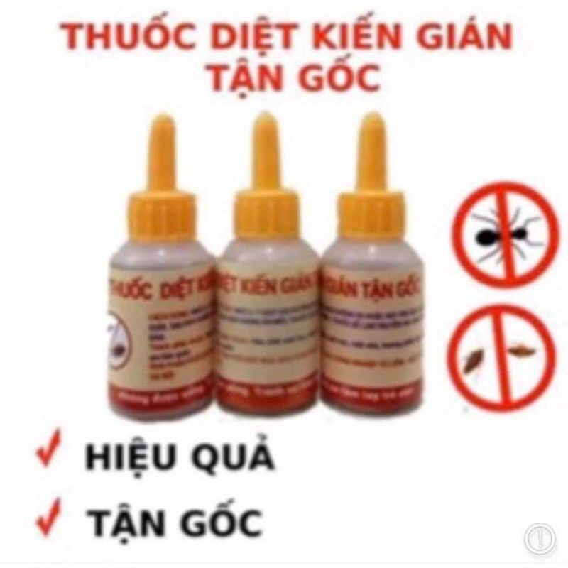 Thuốc diệt kiến gián tận gốc lọ 10ml