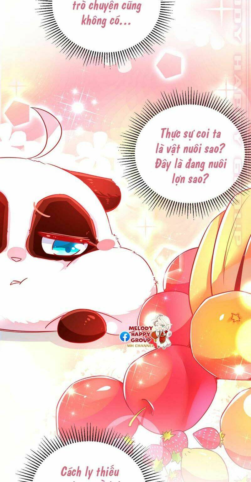 thiên thần gấu trúc muốn được ôm chapter 59 4