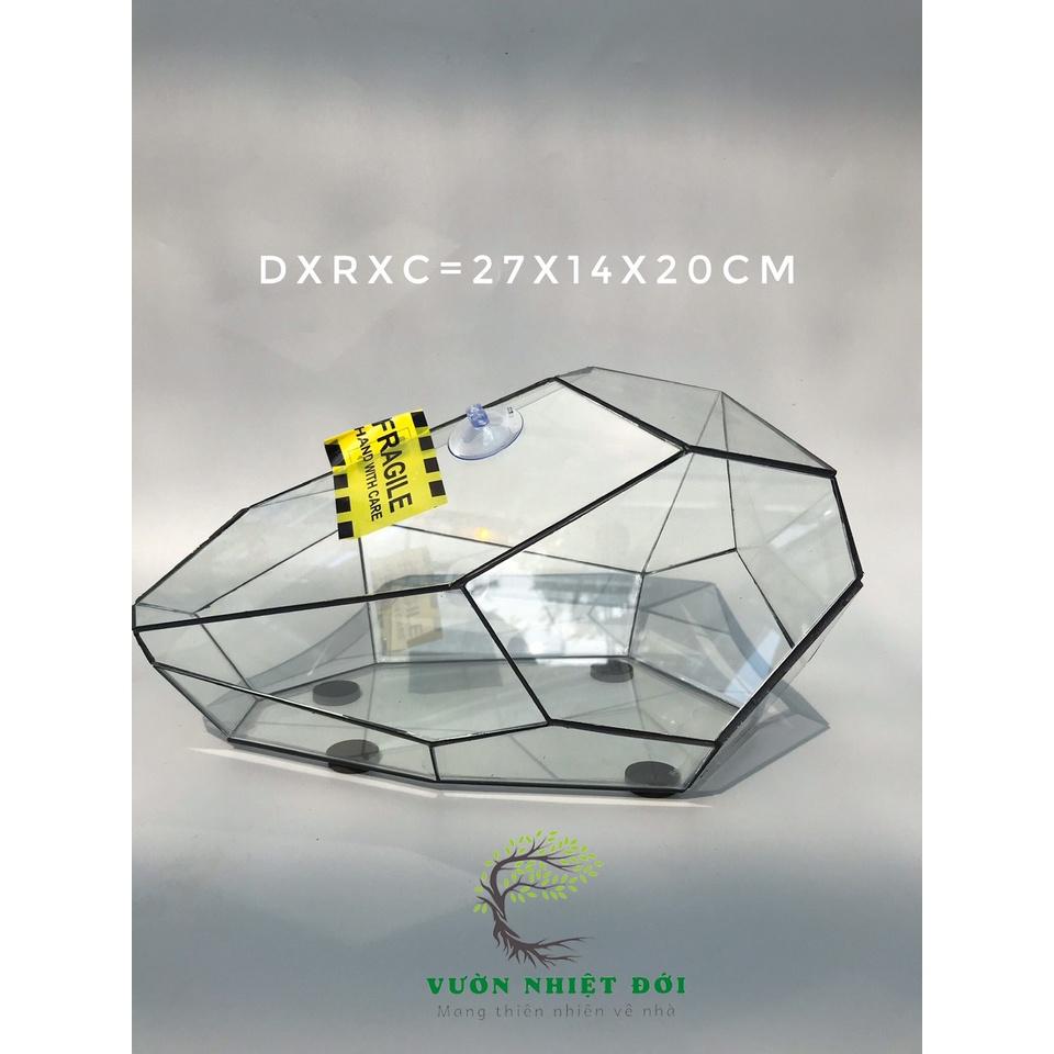 Bể Terrarium Đa Giác Setup Bán Cạn Để Bàn Làm Việc