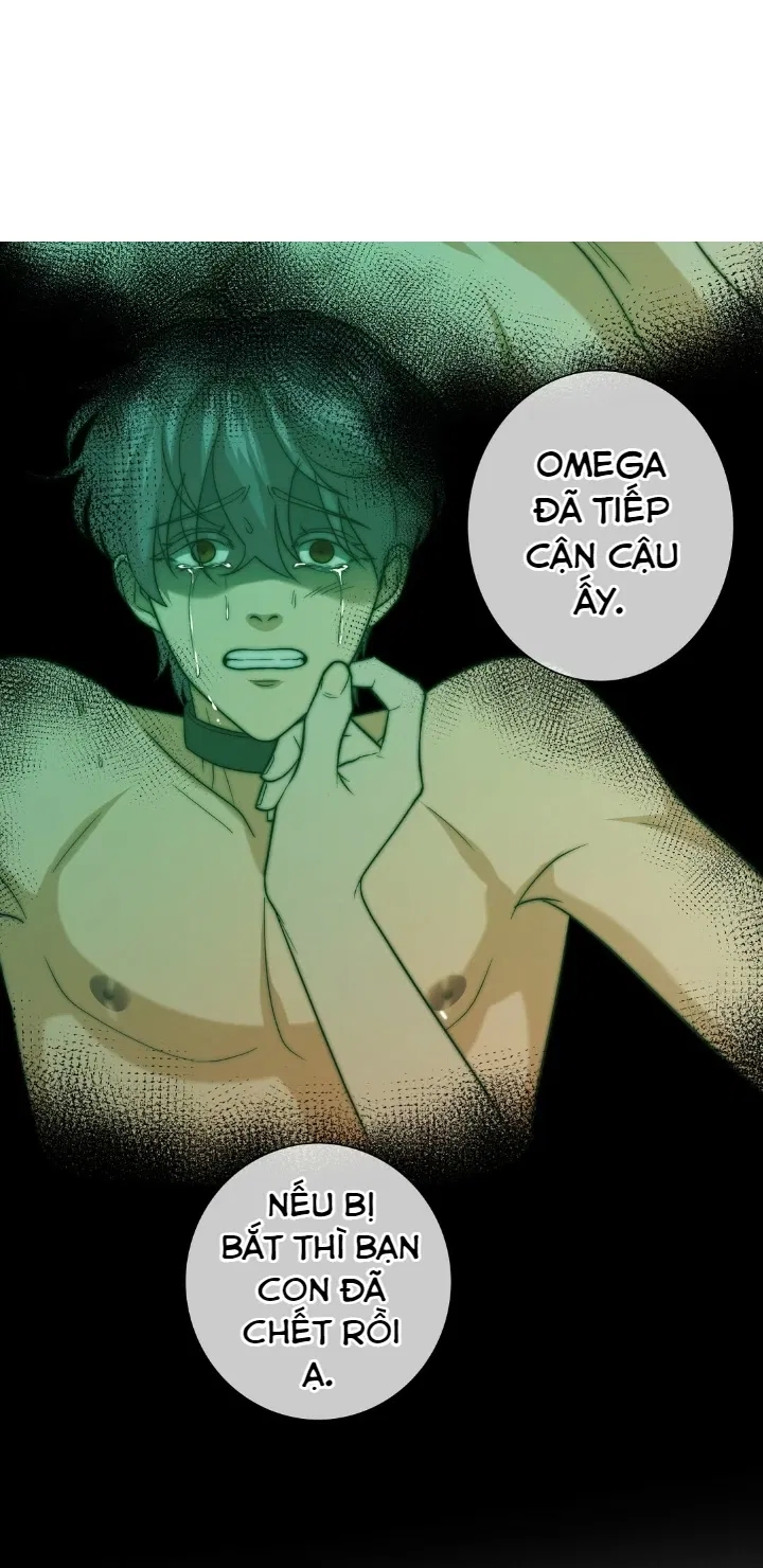 bí mật của omega k chapter 13 43