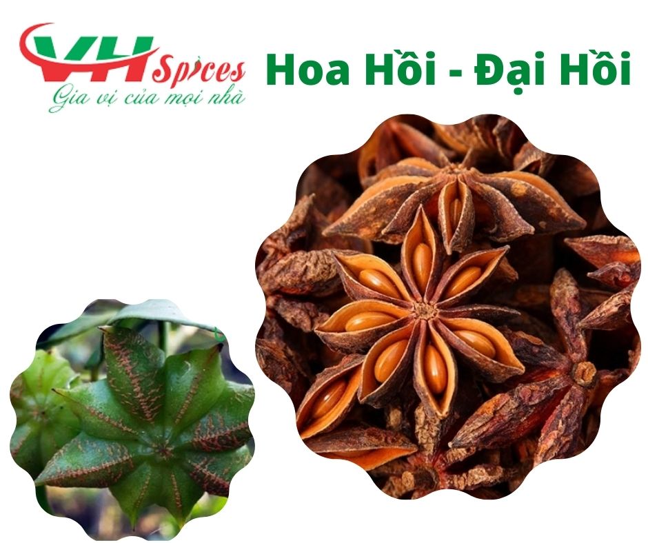 Hoa Hồi - Đại Hồi Việt Hiệp Gói 1kg