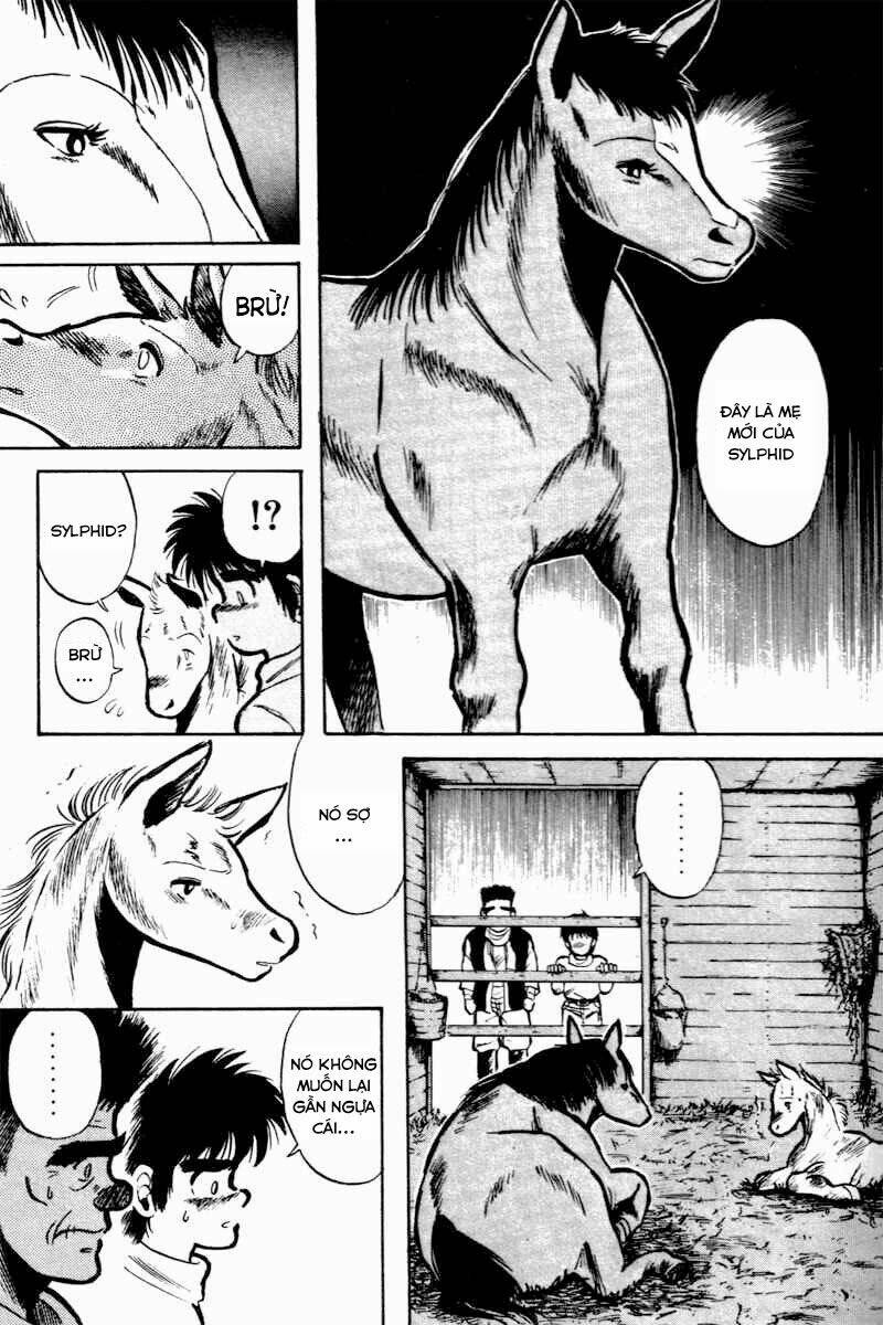 kaze no sylphid - phong mã silphid chapter 2 6