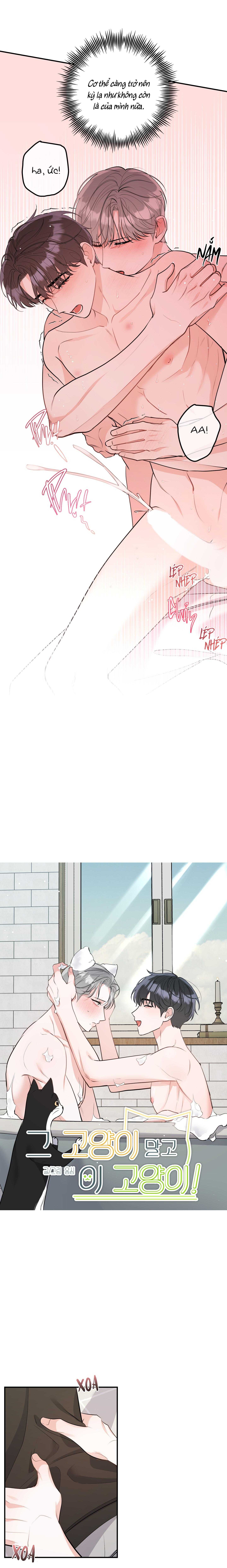 list truyện ngắn chịt chịt chapter 75 11