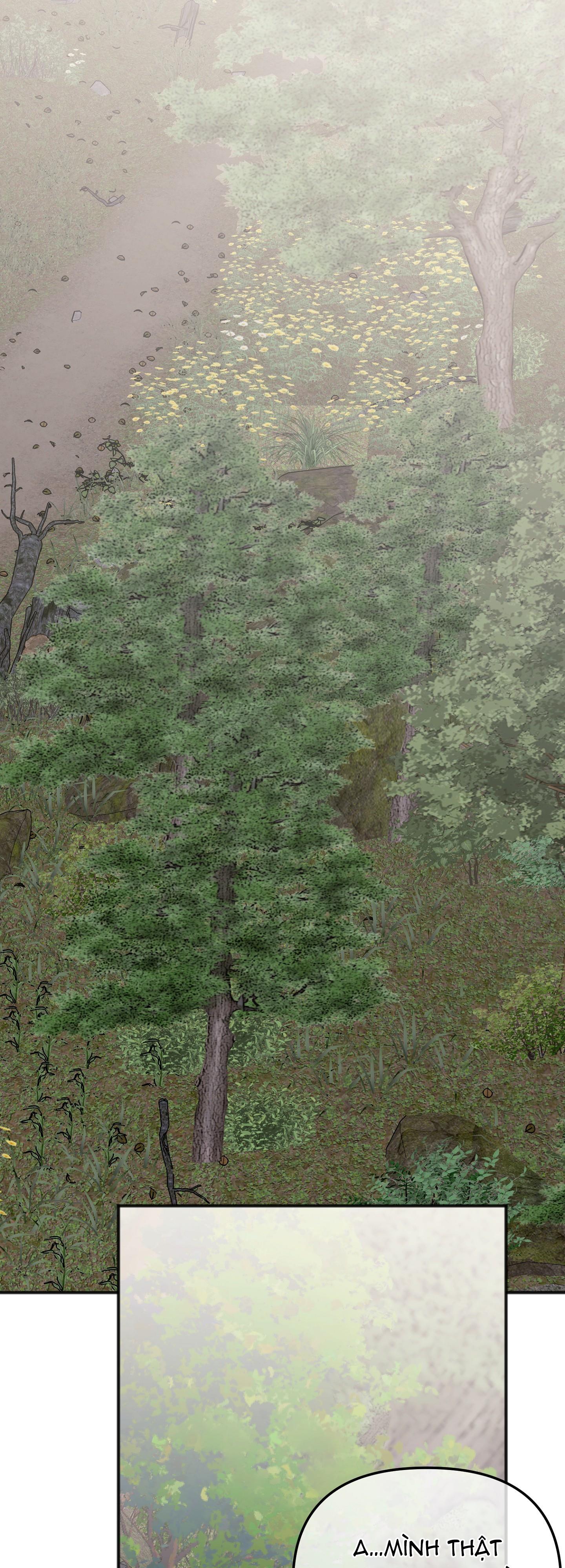 hổ trở về chapter 41 65