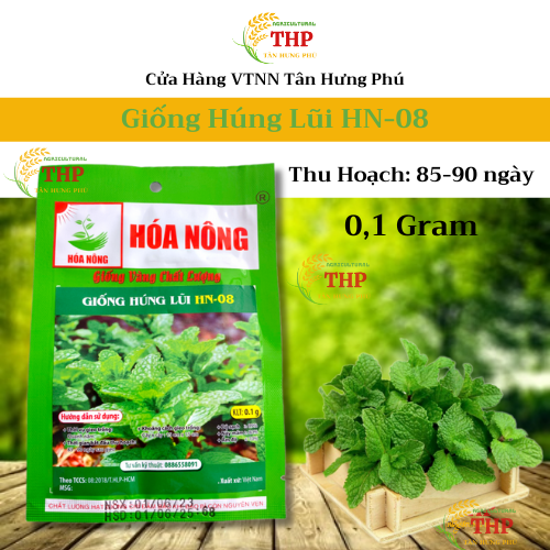 Hạt giống Húng Lũi HN-08 | Hạt Giống | gói 0.1gr