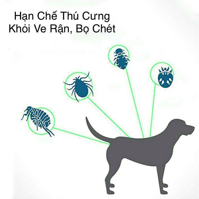 vòng cổ chống ve rận cho chó mèo