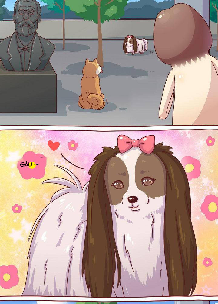 cây nấm kì khả chapter 19 10