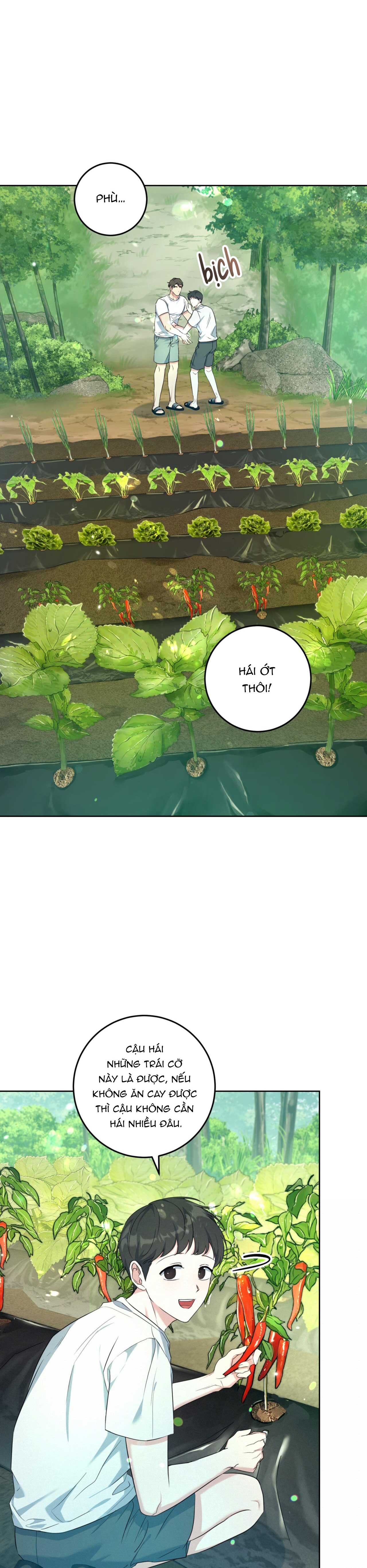 cánh rừng bình lặng chapter 3 11