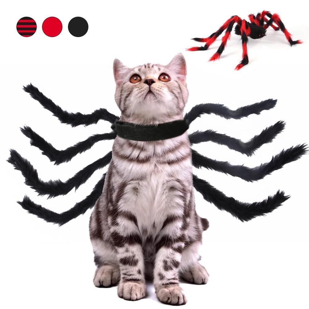 Đai thời trang hóa trang nhện chó mèo vui nhộn tạo tiếng cười