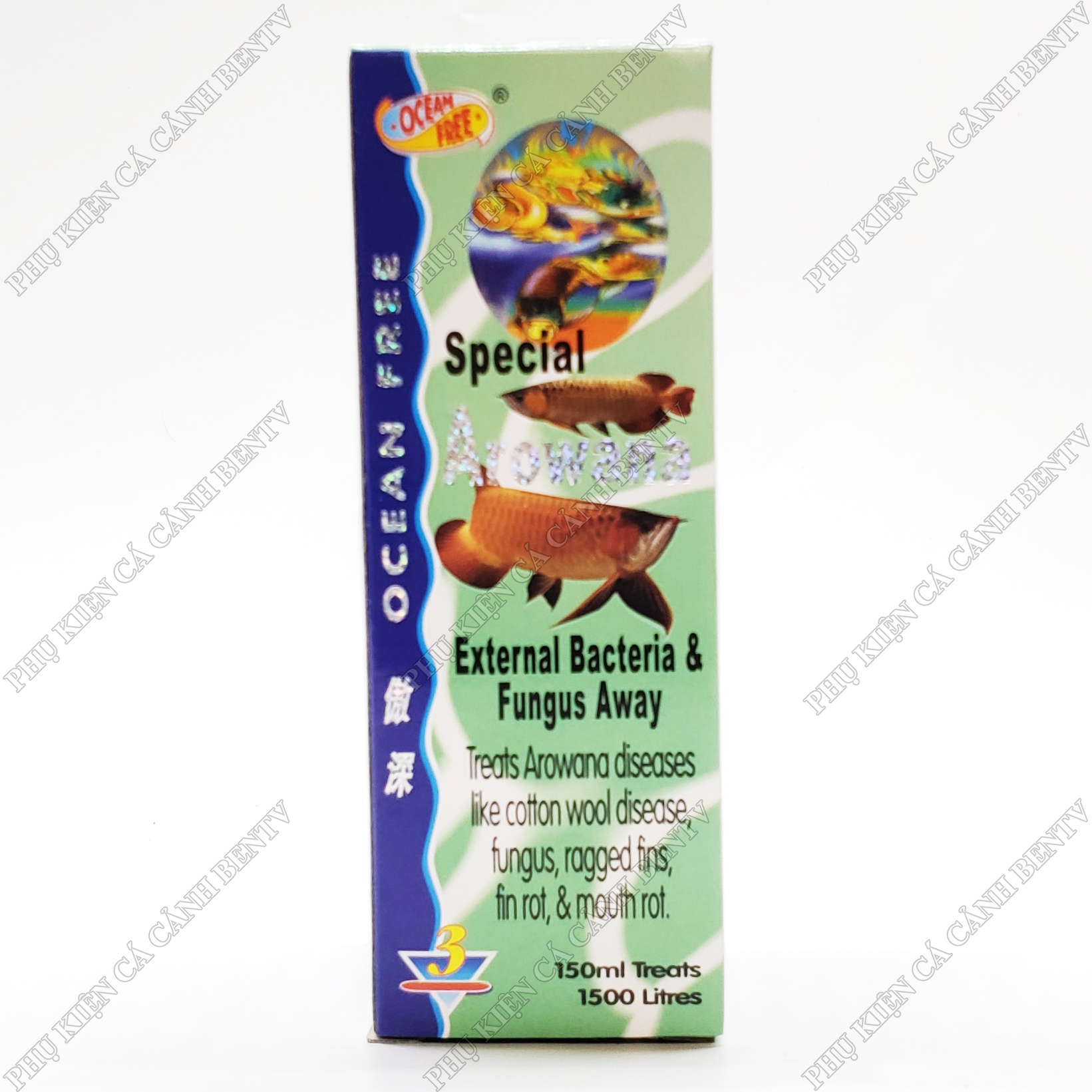 Chai Số 3 Diệt Khuẩn Thối Mang Vay Cho Cá Rồng