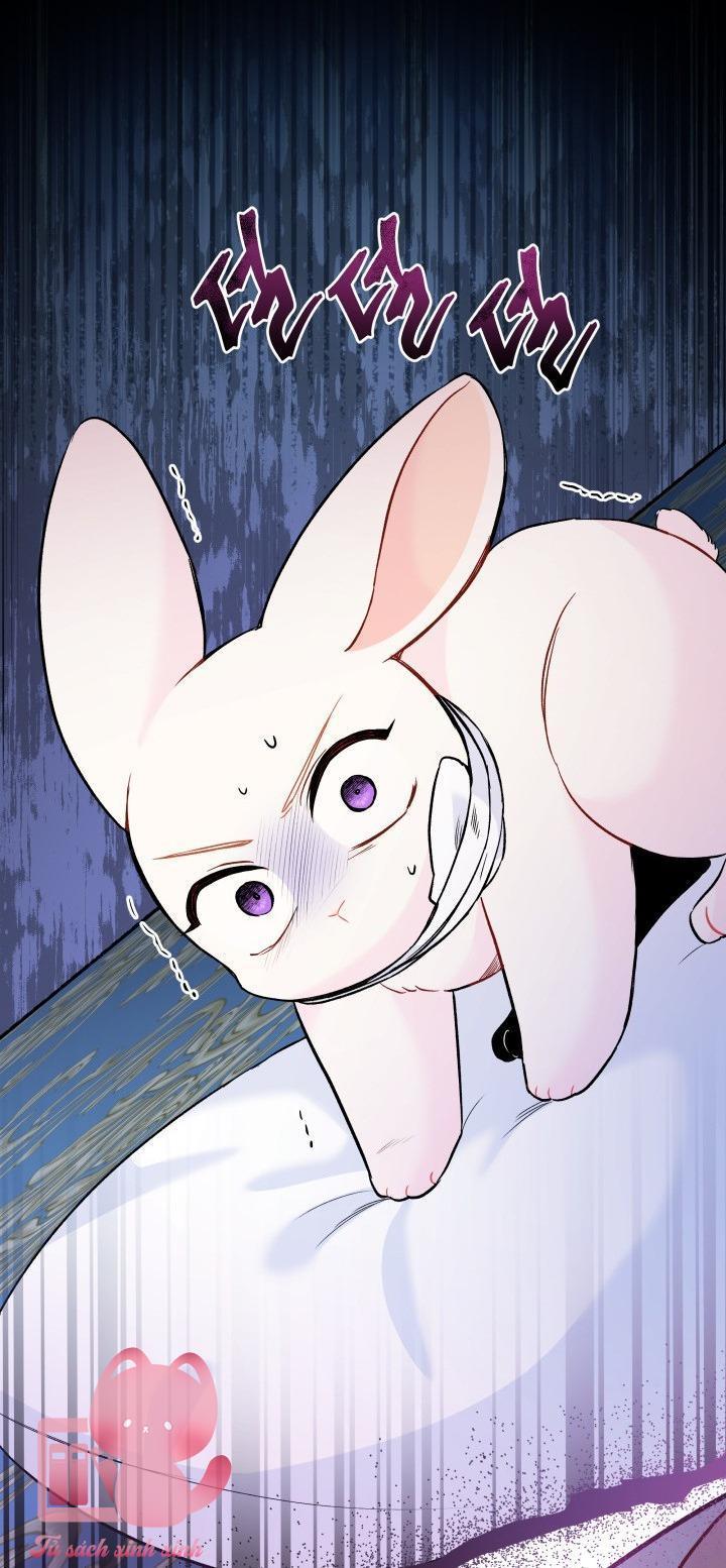 quan hệ cộng sinh giữa báo đen và thỏ trắng chapter 119 61