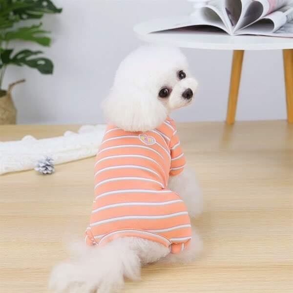 Áo thu đông liền thân kẻ ngang dành cho thú cưng.