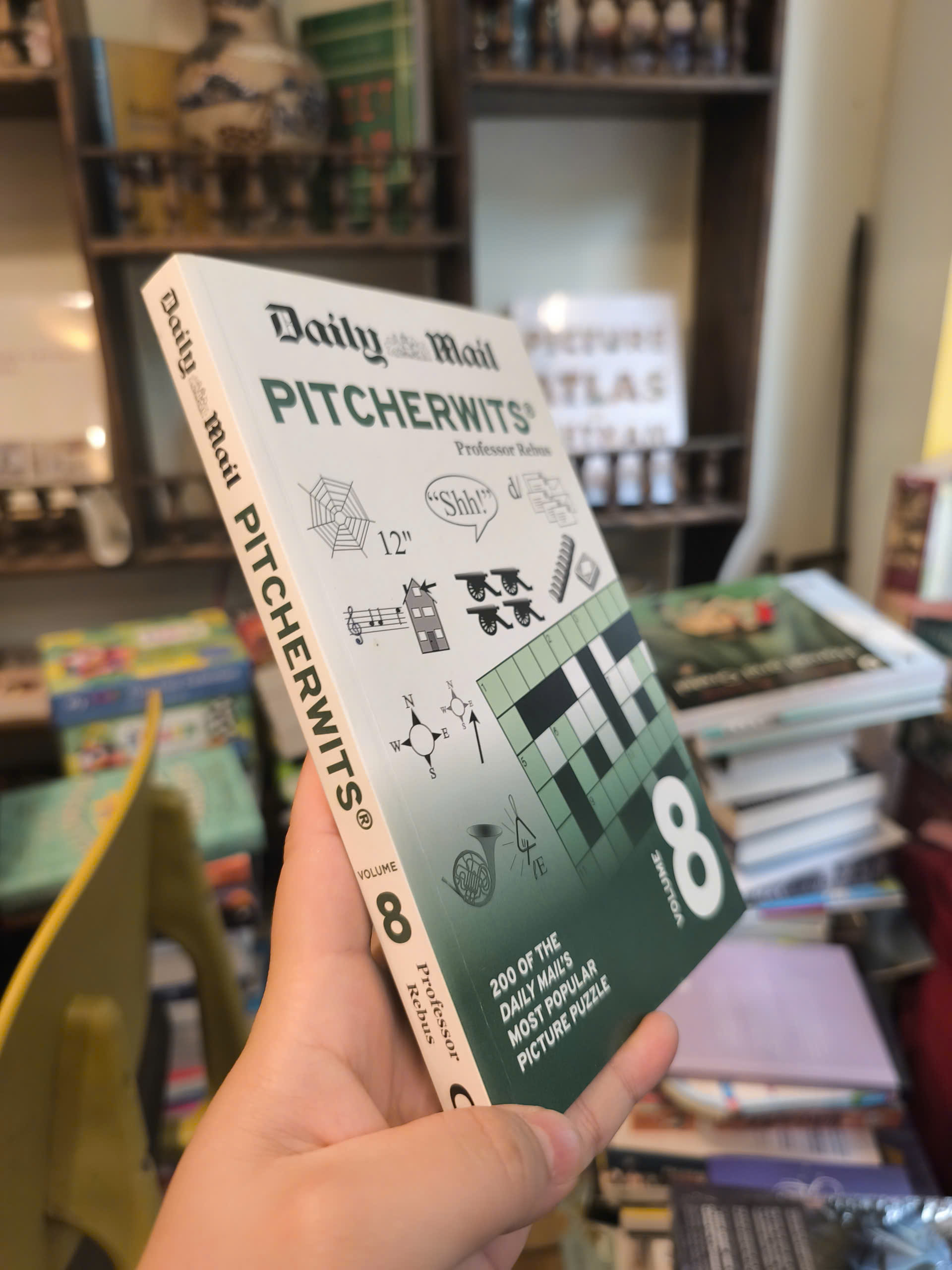 Sách - Pitcherwits 8 - Picture Puzzle | Games / Ngoại văn Nhập khẩu UK / Trò chơi giải trí