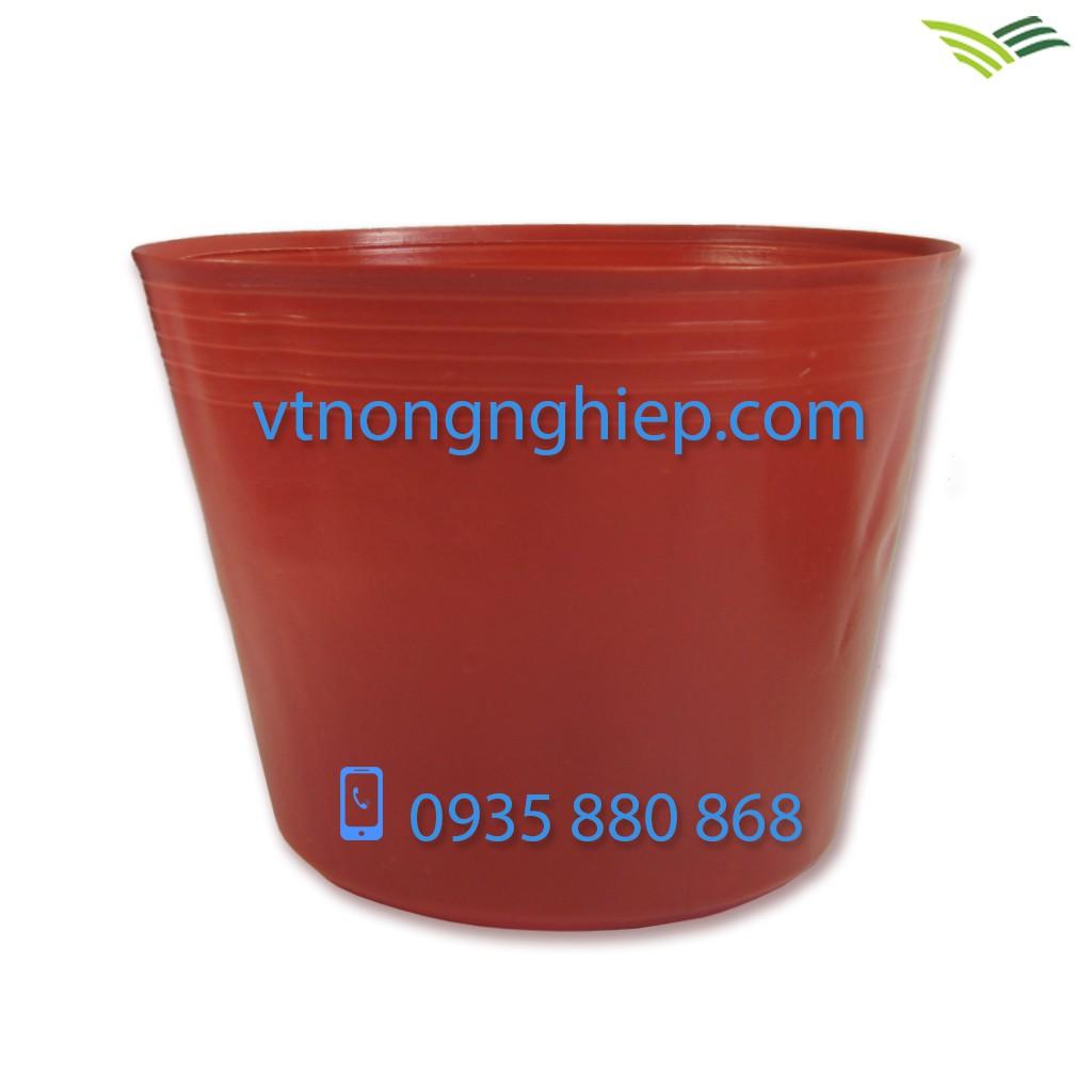 50 Chậu nhựa trồng hoa C10 màu đỏ