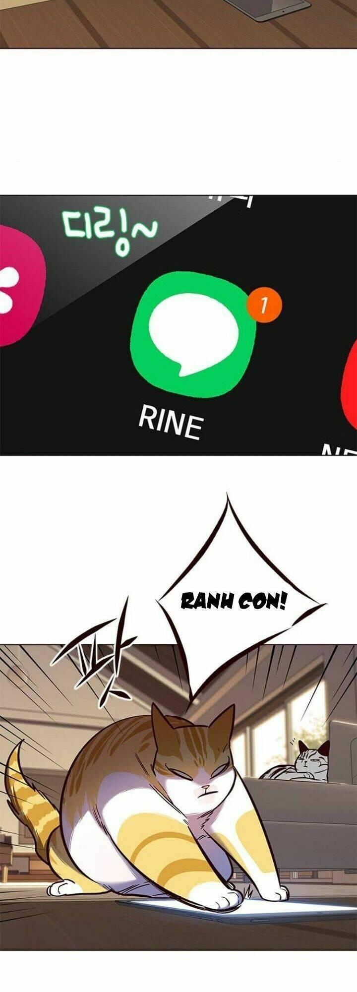 biến thân thành mèo chapter 106 48