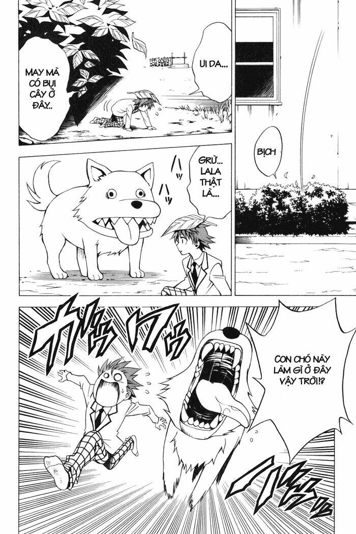 bọn tớ thích cậu! rito chapter 29 10